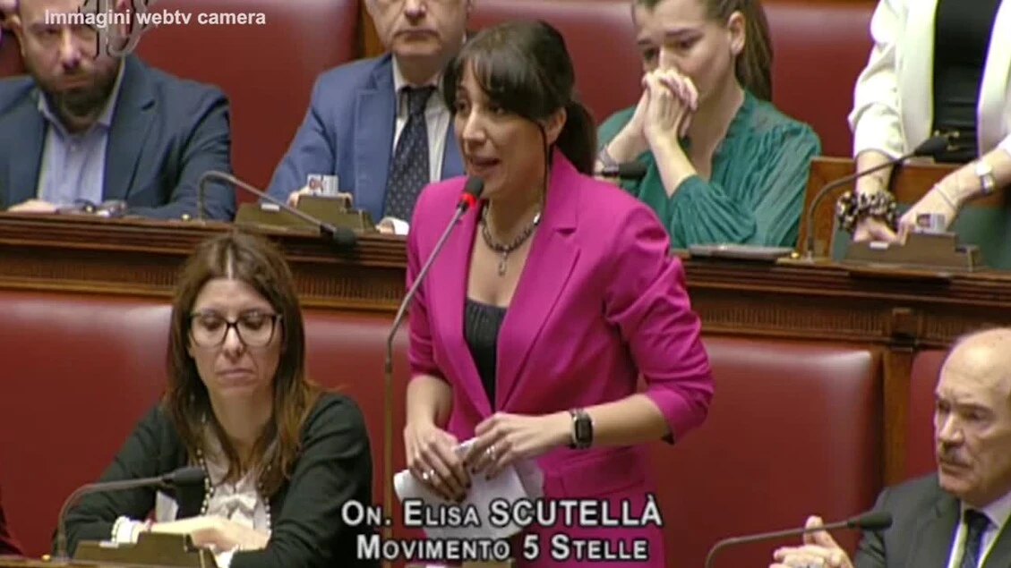 Scutella' (M5s): 