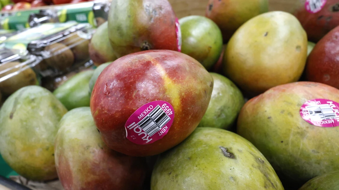 Omega 3 fondamentali per longevità ma italiani carenti