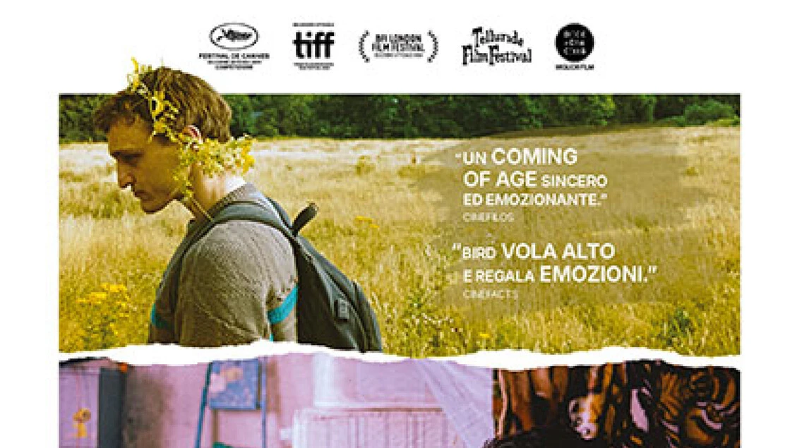 ANSA/ Weekend al cinema con 20 titoli, il tesoro è Bird