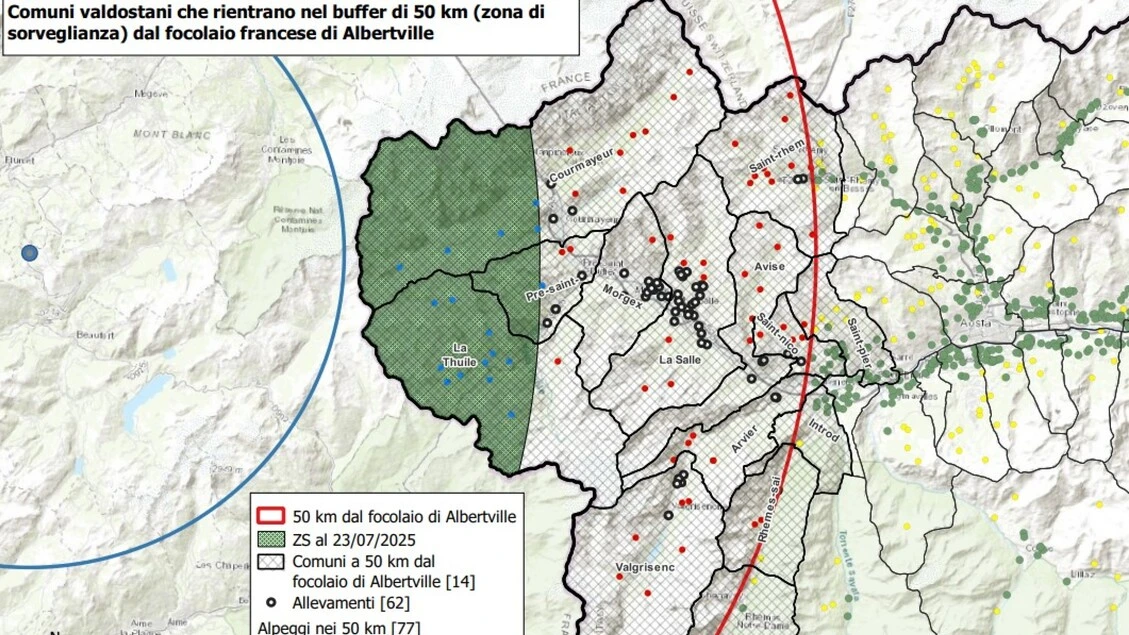 Dermatite bovina, altri 11 comuni valdostani sotto sorveglianza