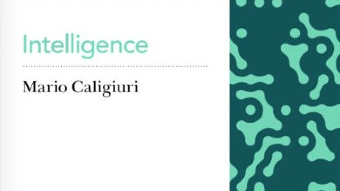 Mario Caligiuri, l'intelligence ha davanti nuovo mondo di sfide