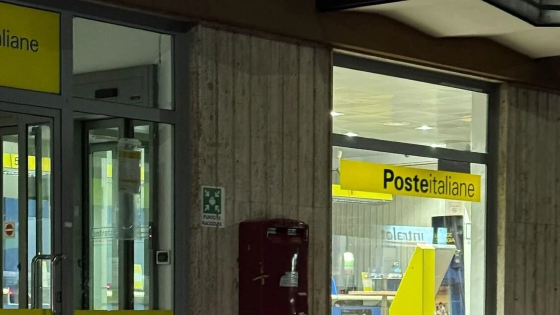 Famiglia di cinghiali 'passeggia' in centro a Vibo Valentia