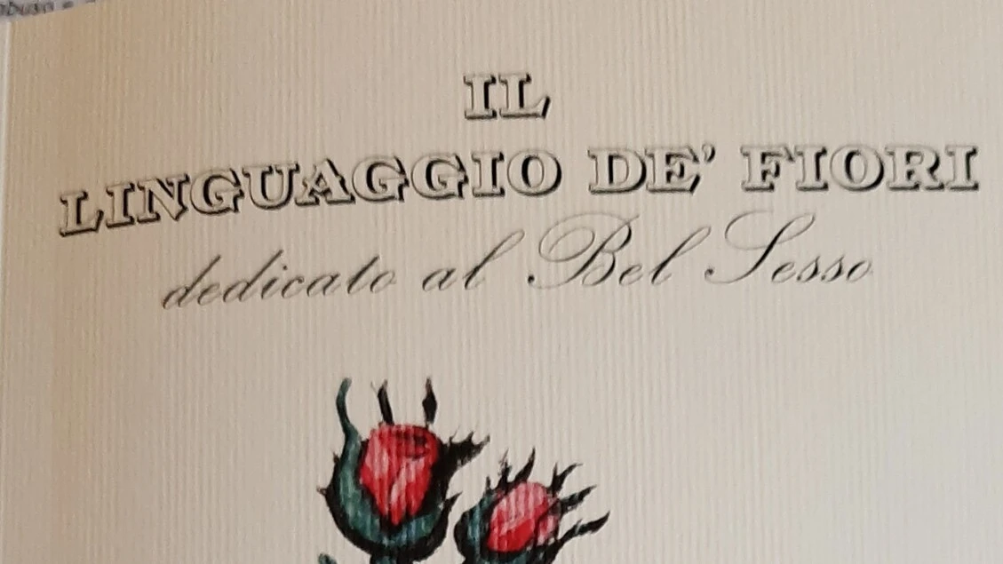 Bardi ristampa 'Il linguaggio dei fiori dedicato al bel sesso'