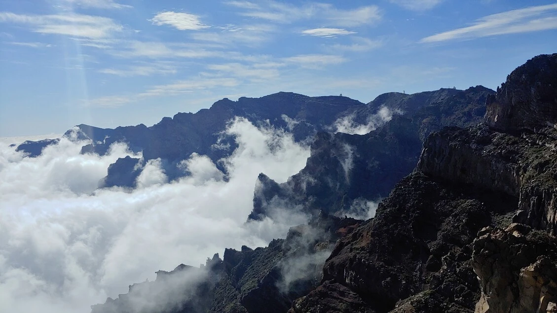 Nell’isola di La Palma, laboratorio a cielo aperto della biodiversità