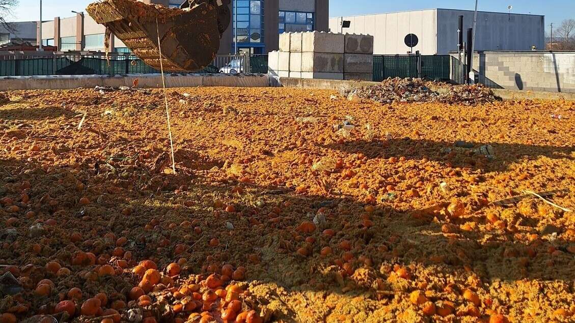 Compost, biometano e energia dalle arance del Carnevale di Ivrea