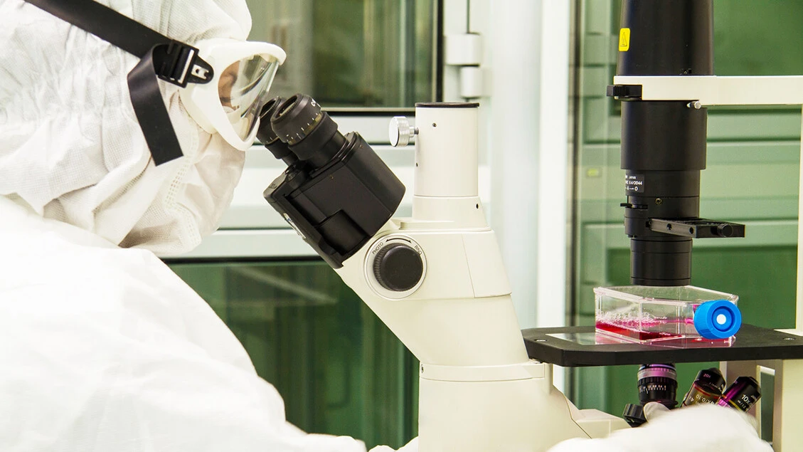 Neuroblastoma, studio del Bambino Gesù dimostra l'efficacia della cura Car-T