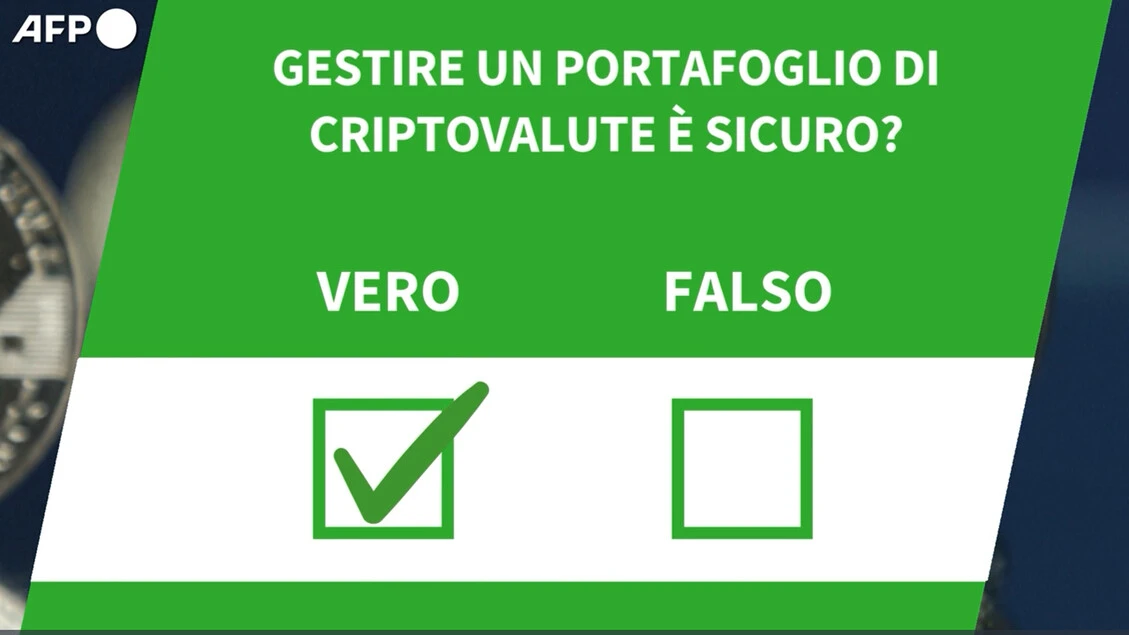 Ansa VERIFIED - E' vero che gestire un portafoglio di criptovalute e' sicuro?