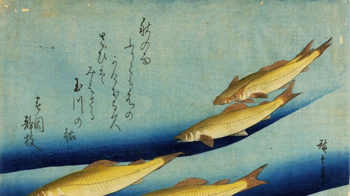 'Graphic Japan', da Hokusai al manga in mostra a Bologna
