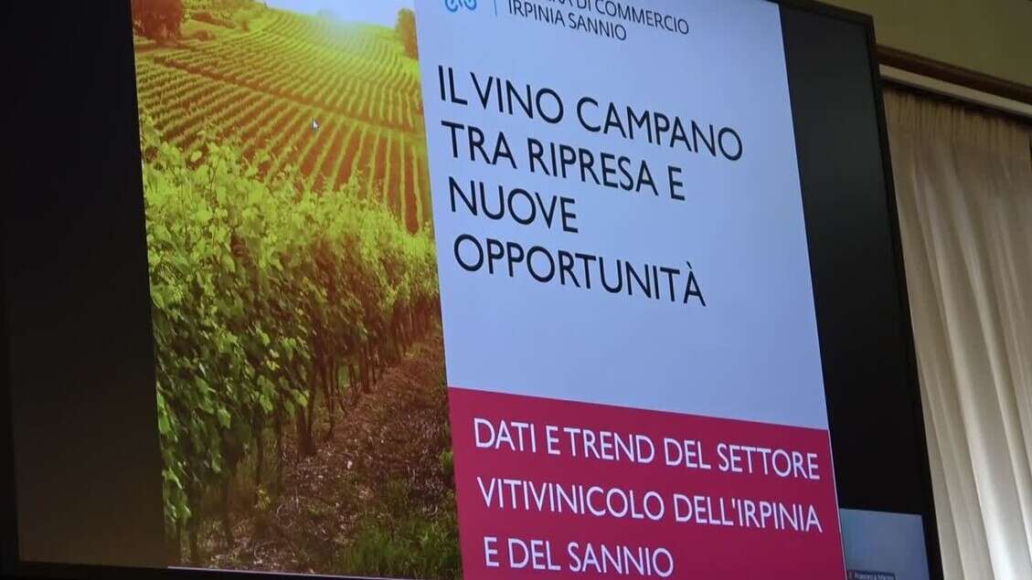 Vinitaly, Irpinia e Sannio pronti all'appuntamento di Verona