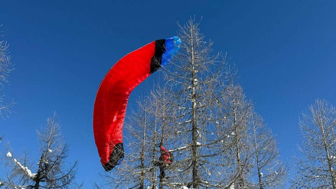 Parapendista bloccato su un albero a 20 metri di altezza, salvo