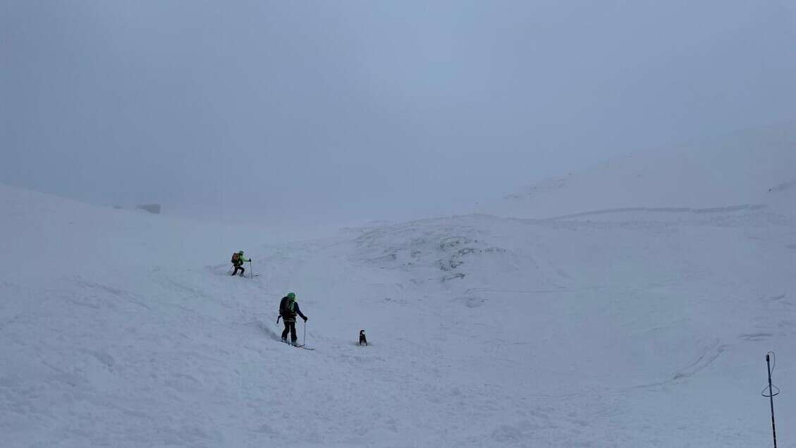 Valanga a Sella Nevea in Friuli, nessuna persona coinvolta