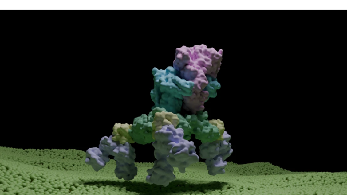 Botulino, immortalate le molecole che scortano la tossina
