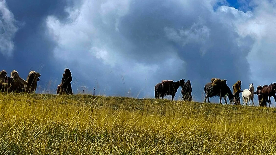 Riprese della Fox, sul Gran Sasso spuntano i cammelli