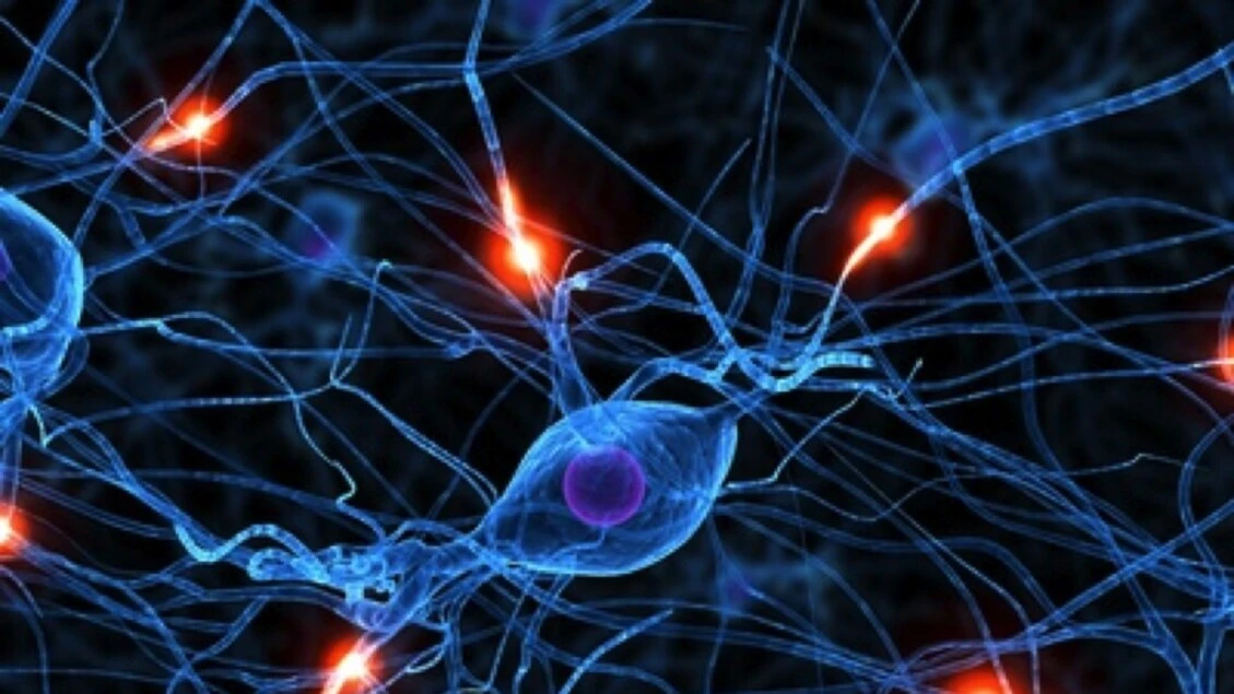 Scoperte le spie molecolari di Alzheimer e Parkinson