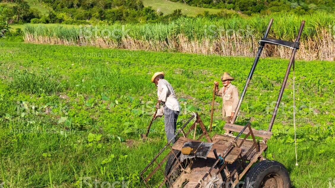 Cuba, una nuova legge per dare terre in usufrutto agli stranieri