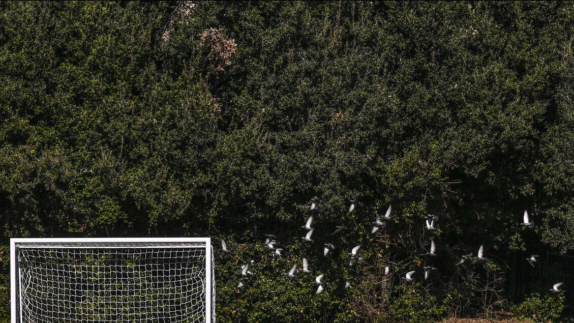 Insulta l'arbitra 16enne, 'sei donna e non capisci'