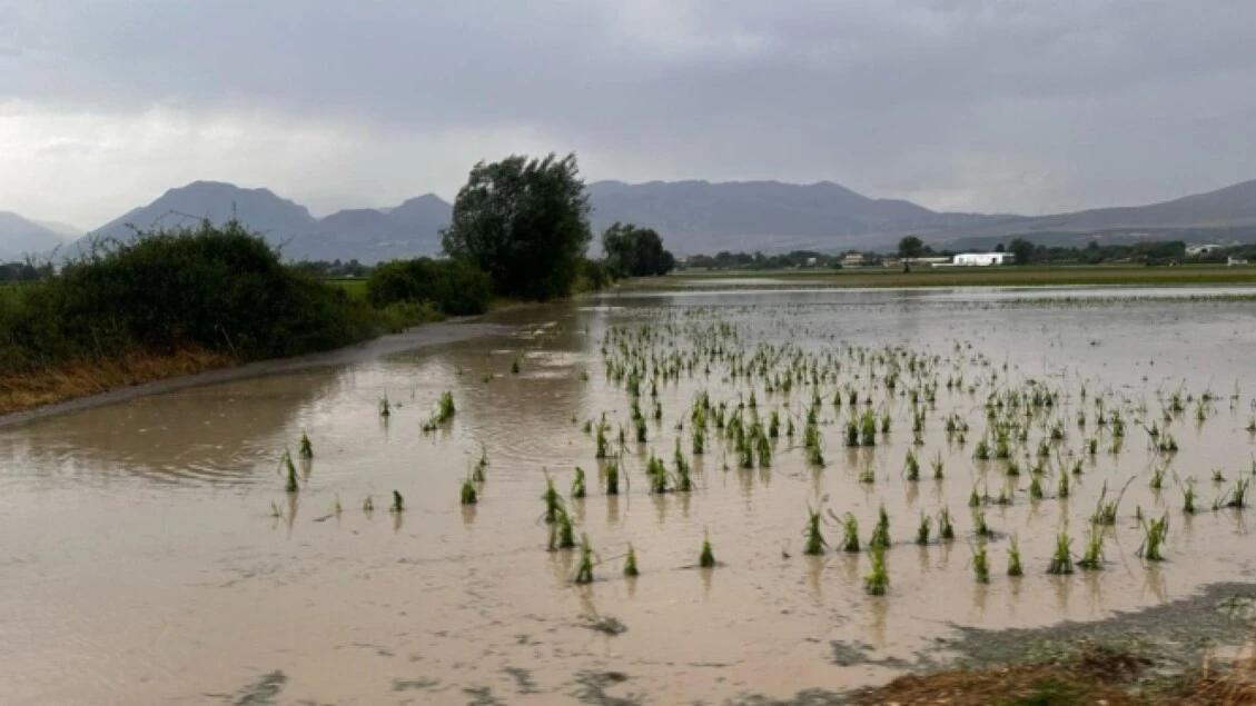 Bomba d'acqua nel Fucino, grandine devasta campi