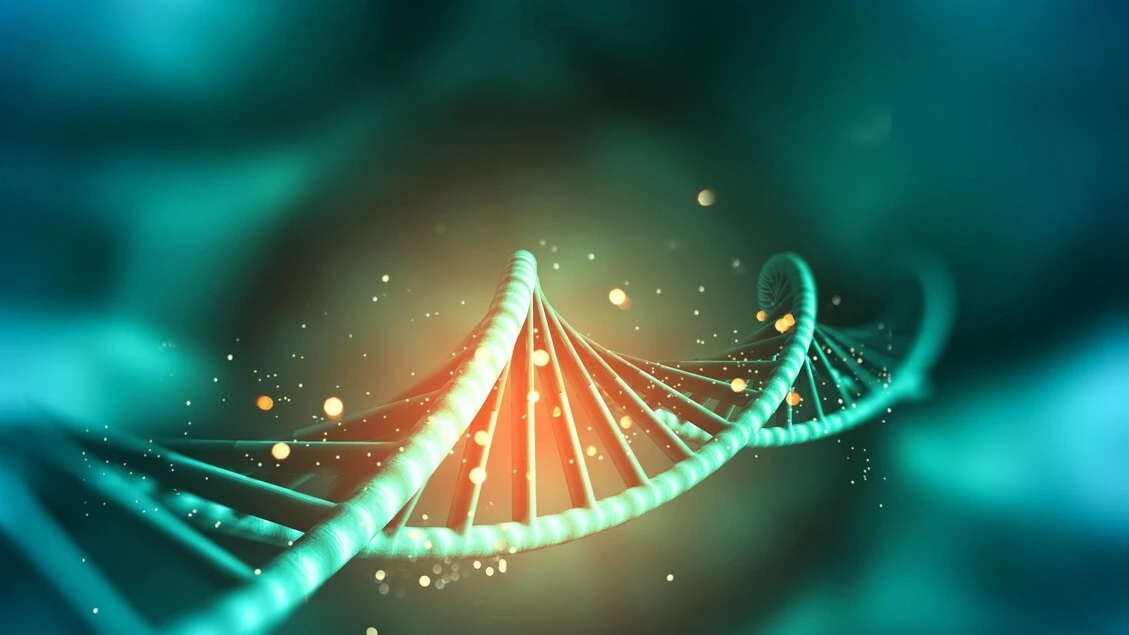 I geni materni plasmano il peso dei figli anche quando non vengono ereditati