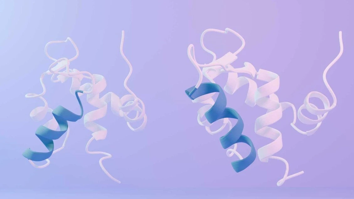 Costruita la prima proteina artificiale capace di cambiare forma