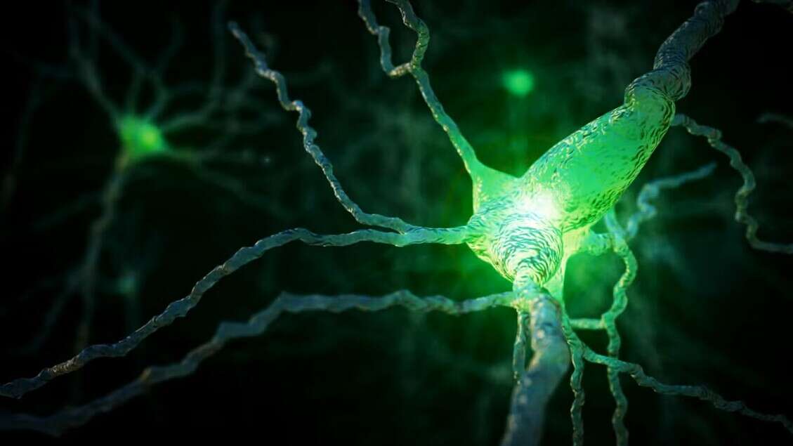 Nuova luce sull'Alzheimer, potrebbe esserci un'unica causa