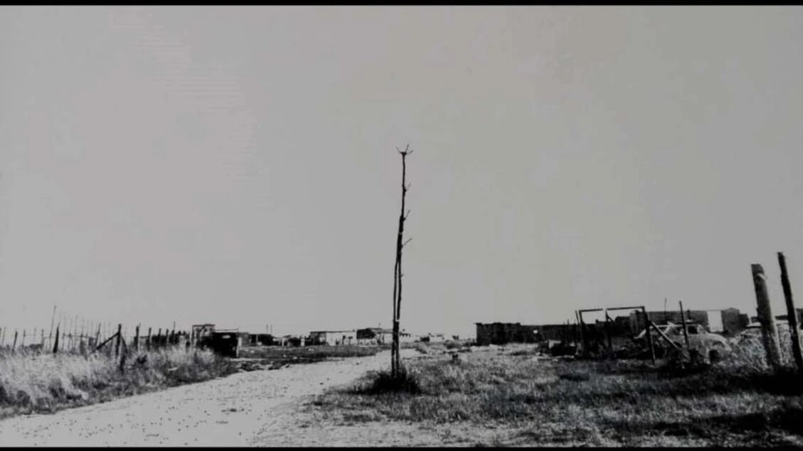 Andermann, 'il mio Pasolini, assenza presente della poesia'