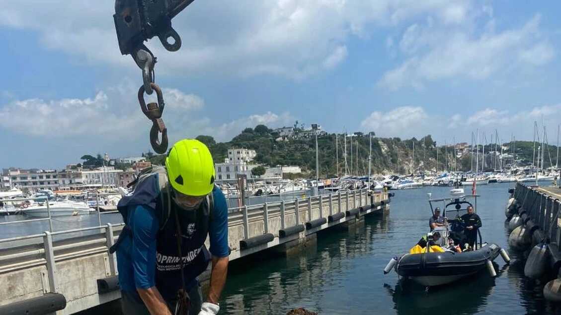 Recuperati reperti archeologici sommersi nel Porto di Miseno