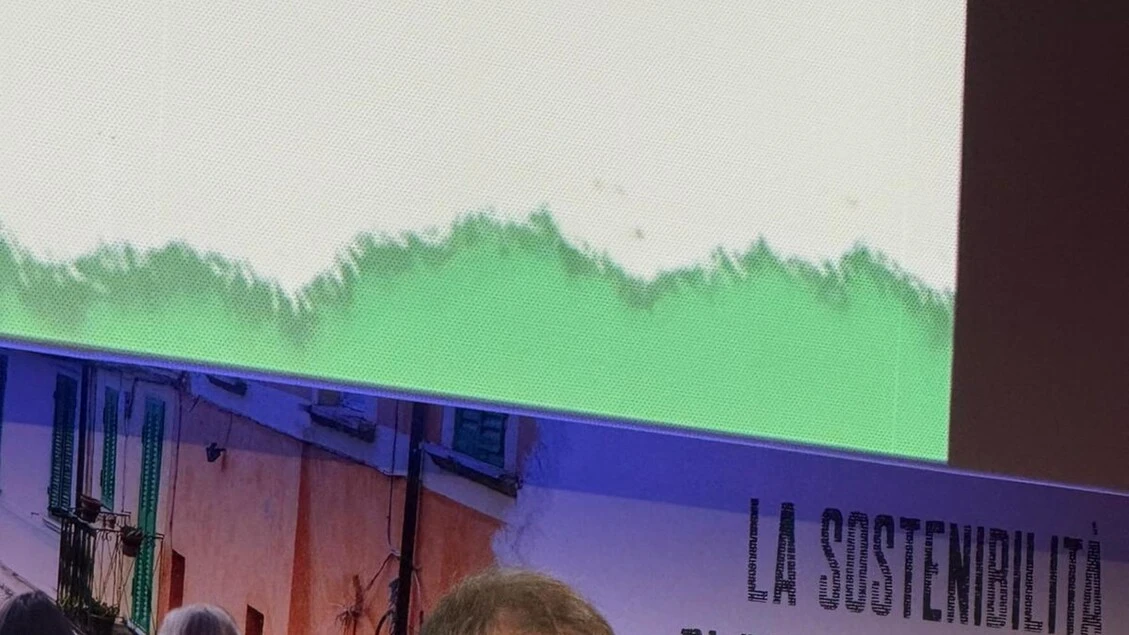Gallo (Invitalia), '2,5 miliardi per la sostenibilità nel 2023'