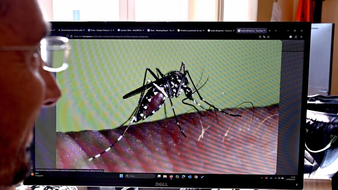 West Nile, un'anziana prima vittima veneta nel Rodigino