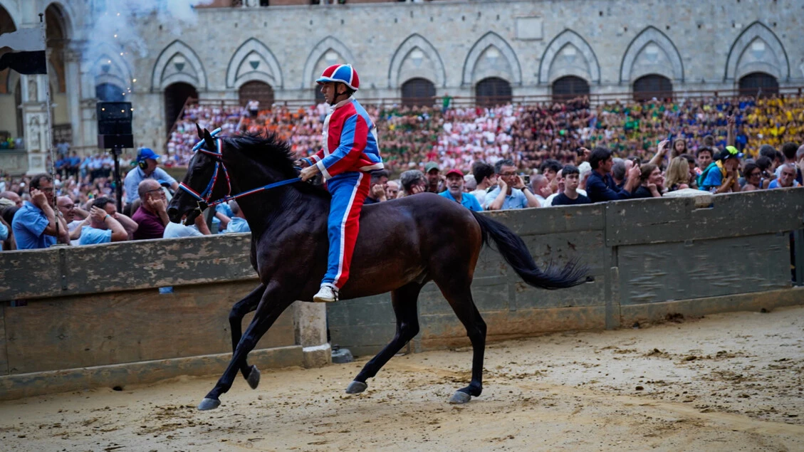 Palio Siena: Pantera vince la prima prova dopo la pioggia