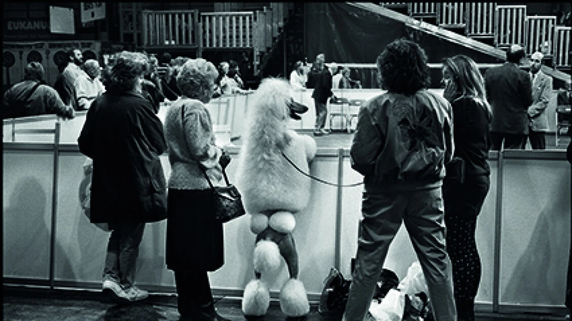 Elliott Erwitt, maestro di leggerezza e ironia