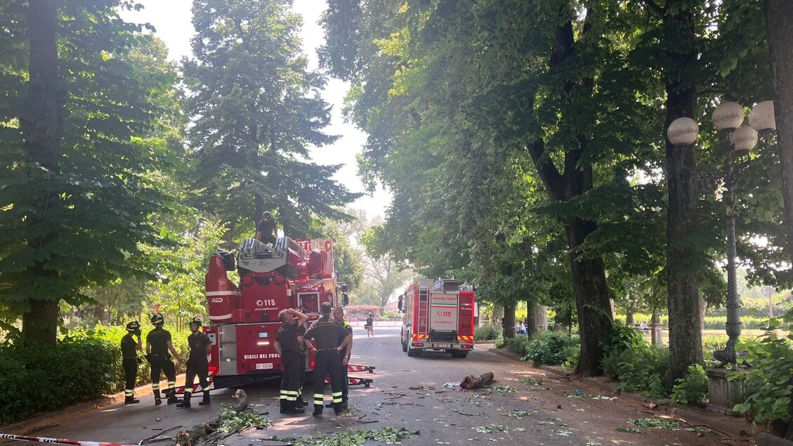 Colpita da un ramo a Cascine Firenze, 23enne in codice rosso