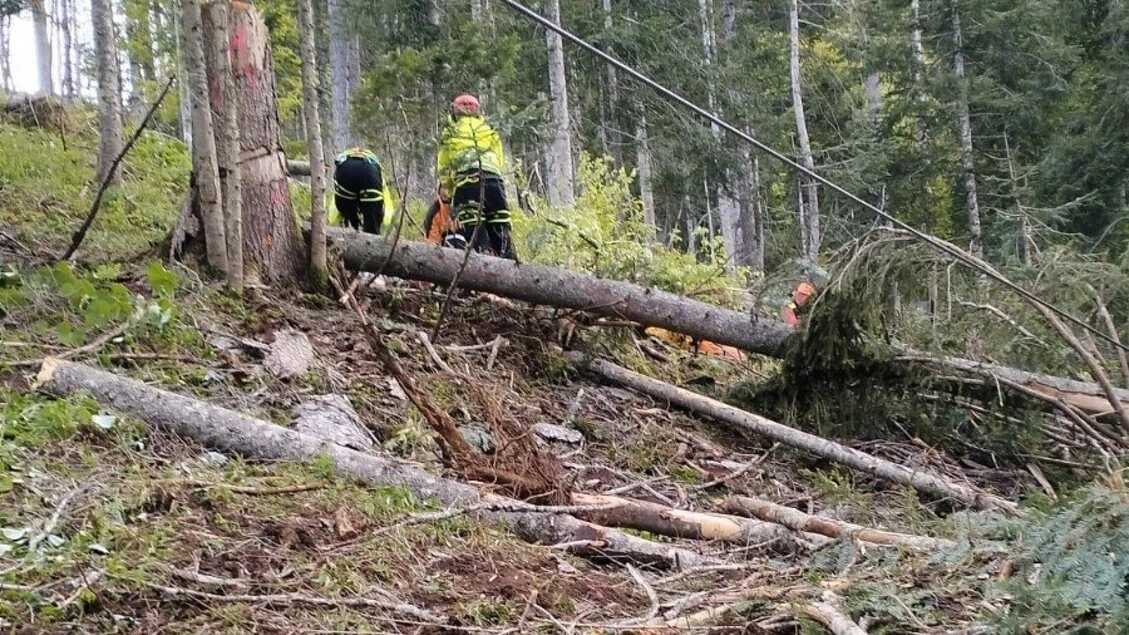 Boscaiolo muore in incidente su lavoro travolto da un tronco