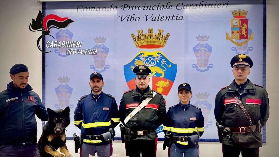 In auto con 22 chili di cocaina,41enne arrestato a Vibo Valentia