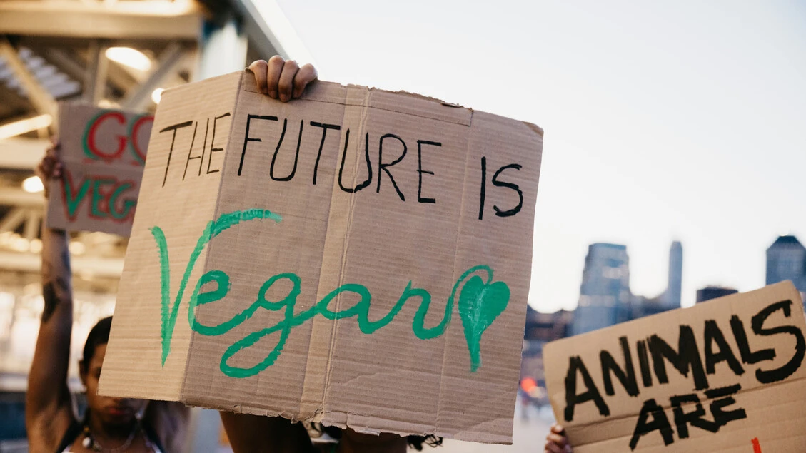 Nazi carnivori e nazi vegani, ecco perchè sbagliano entrambi