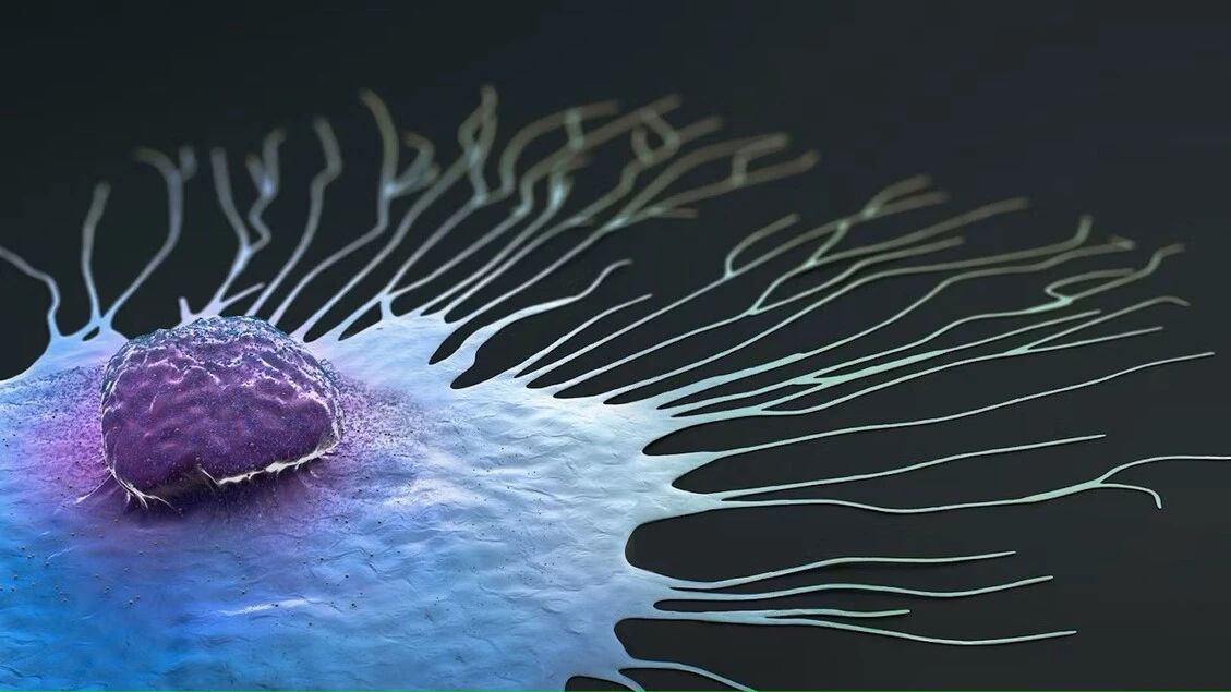 Terapia Car-T, primi risultati positivi contro i tumori più difficili