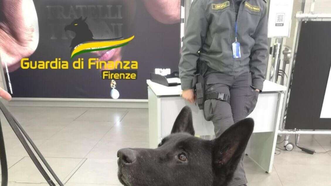 Morto cane antidroga, con suo fiuto oltre 50 arresti e denunce