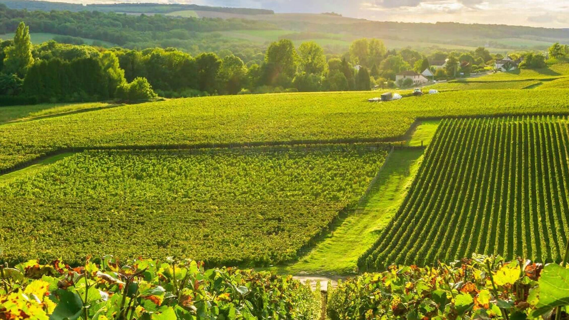 Francia, quella doppia magia tra luci e impalpabili bollicine