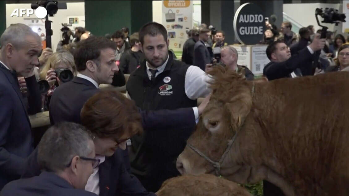 Macron al Salone dell'Agricoltura saluta anche la mucca Oupette, la mascotte