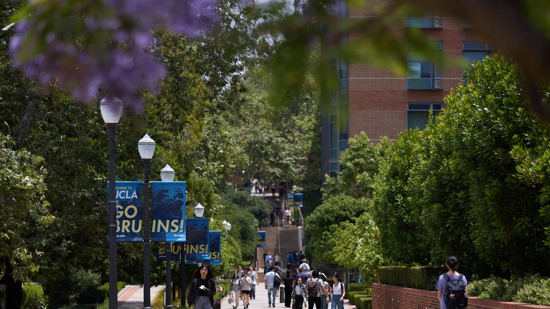 Studente italiano laureato ad Harvard 'siamo sconfortati'