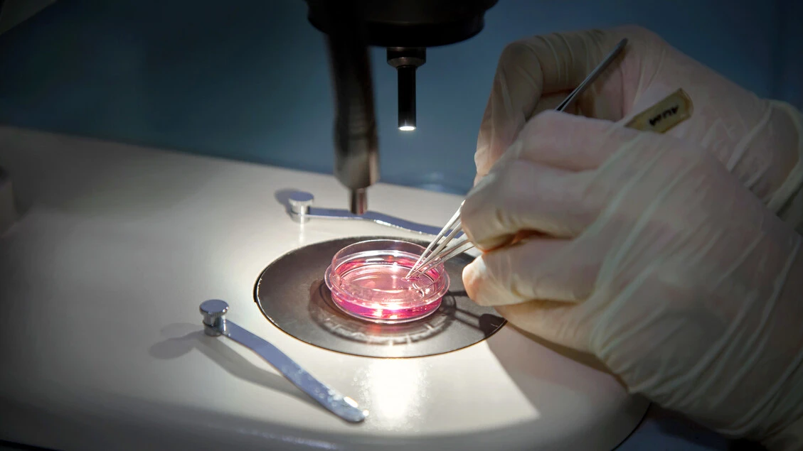 Endometriosi ed emicrania, possibile un meccanismo comune delle malattie