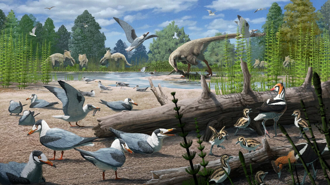 Gli uccelli nidificavano nell’Artico già all’epoca dei dinosauri