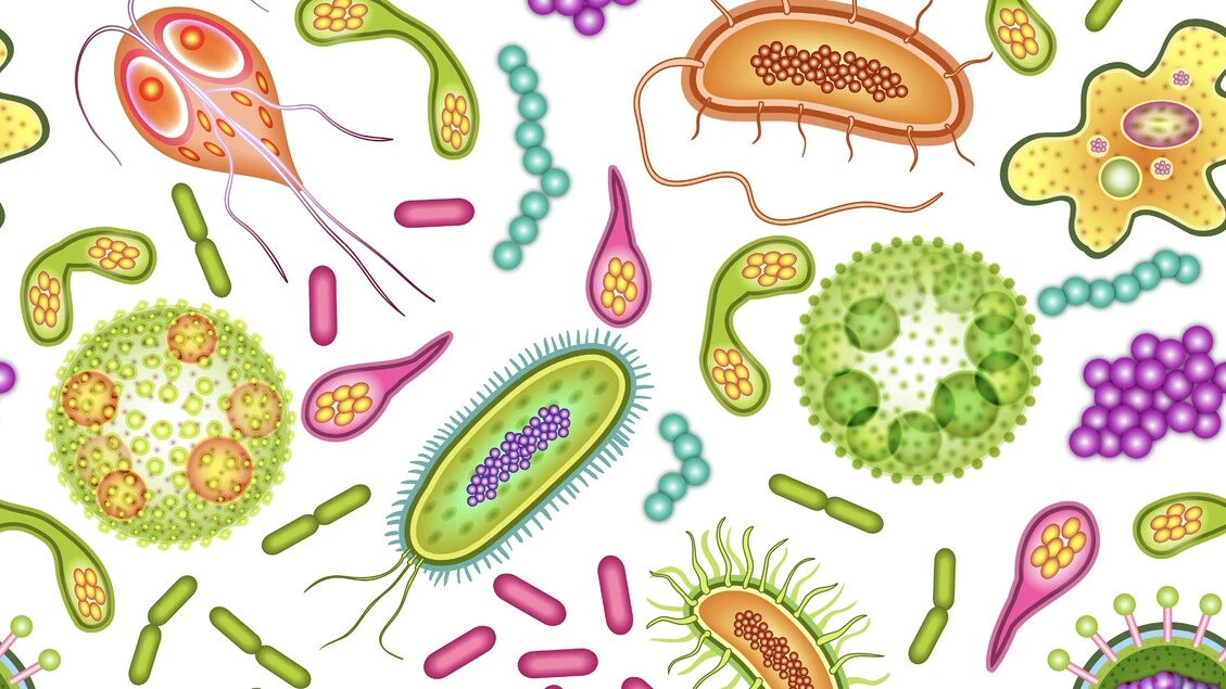 Al via studio italiano sul legame tra endometriosi e microbiota