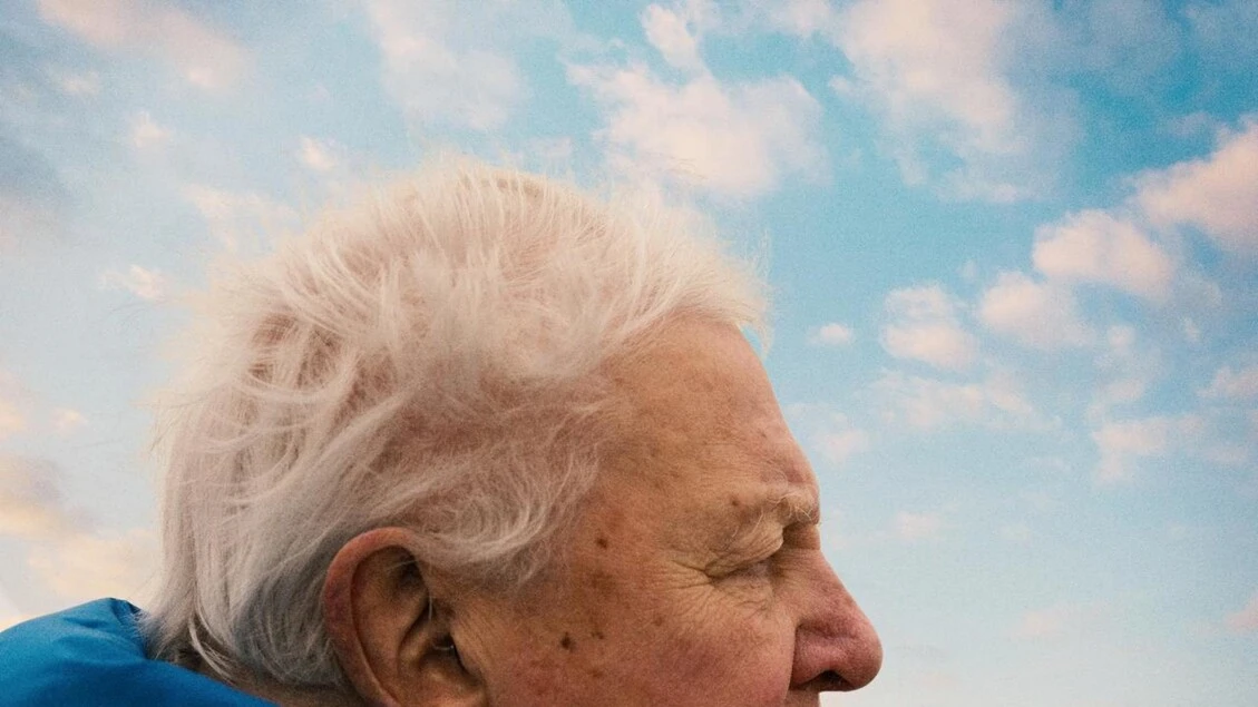 I Segreti dell'Oceano con David Attenborough arriva l'8 giugno