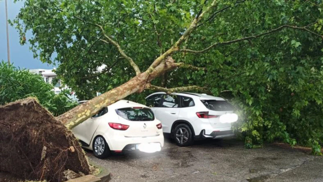 Maltempo: a Verona 15 minuti di tempesta, vento a 100 kmh