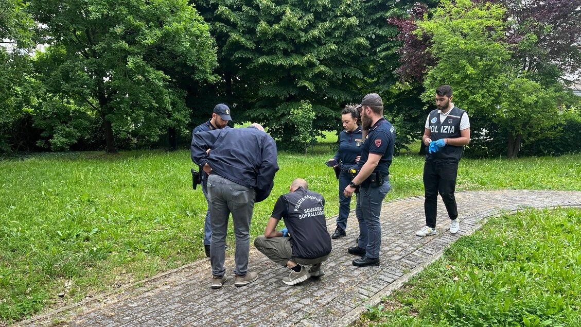 Trovati resti in strada a Parma, si ipotizza un feto
