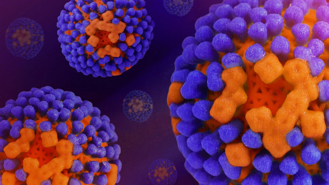 Anticorpi anti-influenza adesivi, in uno spray nasale
