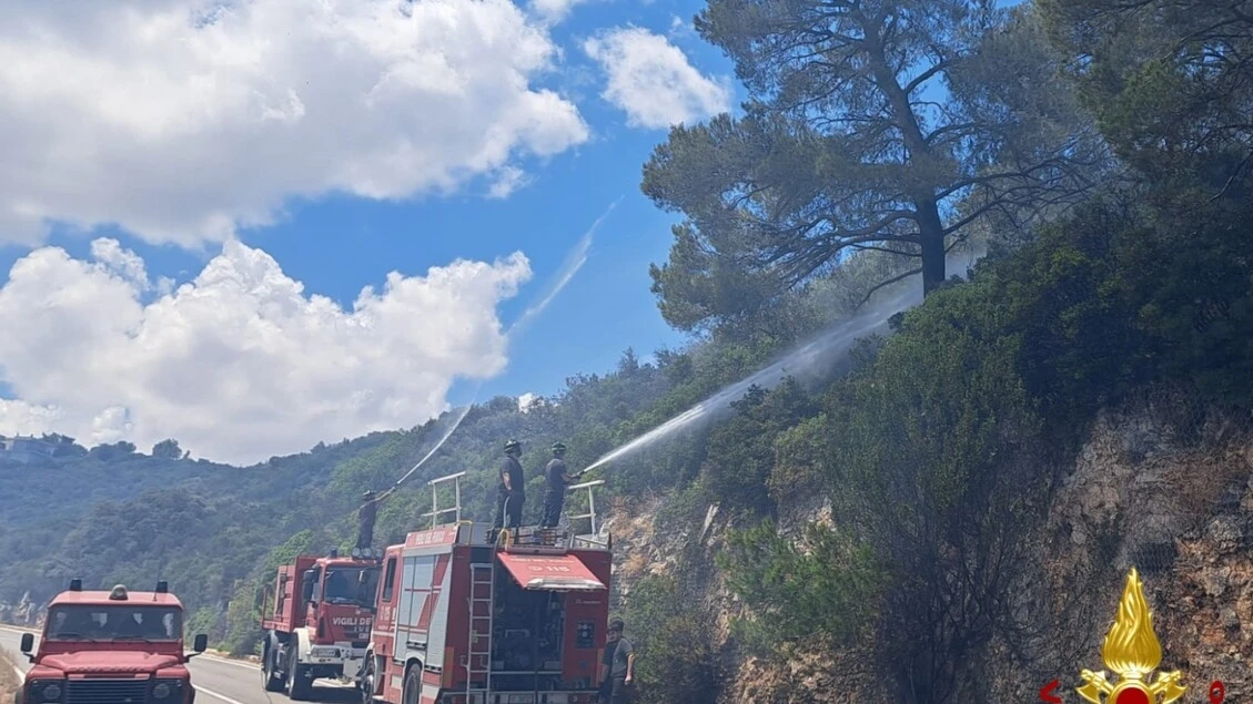 Brucia la macchia mediterranea nel Barese, Canadair in arrivo