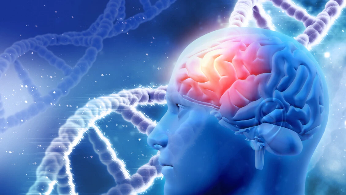 Il 'falso Alzheimer' che minaccia gli over 65, in Italia 115mila casi stimati nel 2024