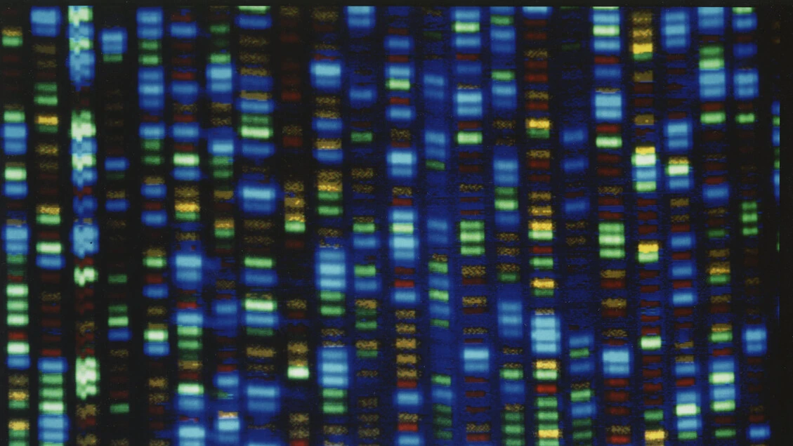L'Iit apre un centro in Valle d'Aosta, genomica contro tumori e Parkinson