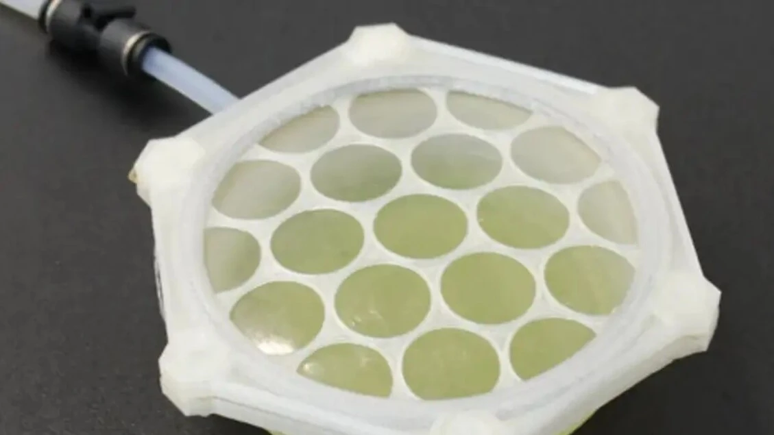 Bioplastiche ottenute dalle alghe per habitat extraterrestri